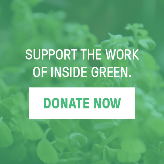Donate now 72621559f0b77f0b75e073fc34e9986fa981555d208cb1255343bed9492a9ccb